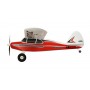 PACER MULTIPLEX RR