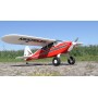 PACER MULTIPLEX RR